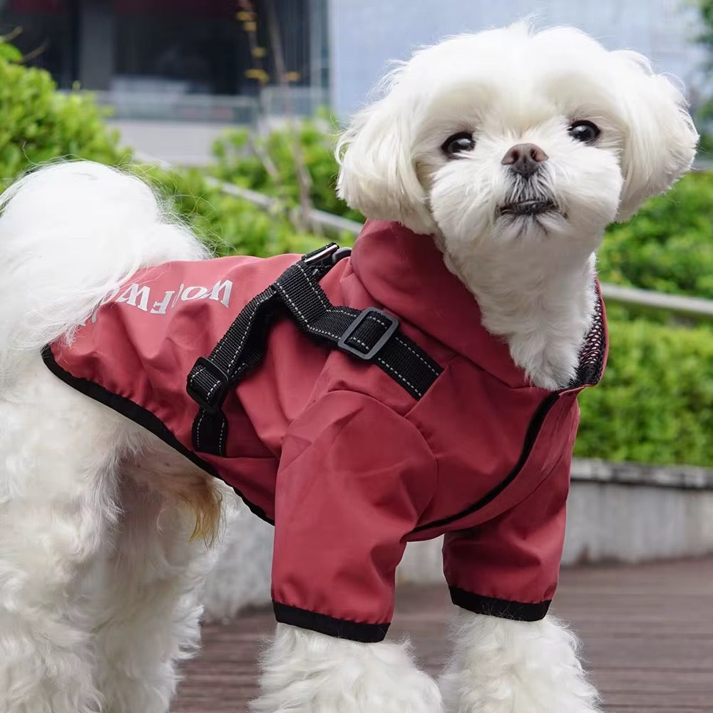 Little dog coat