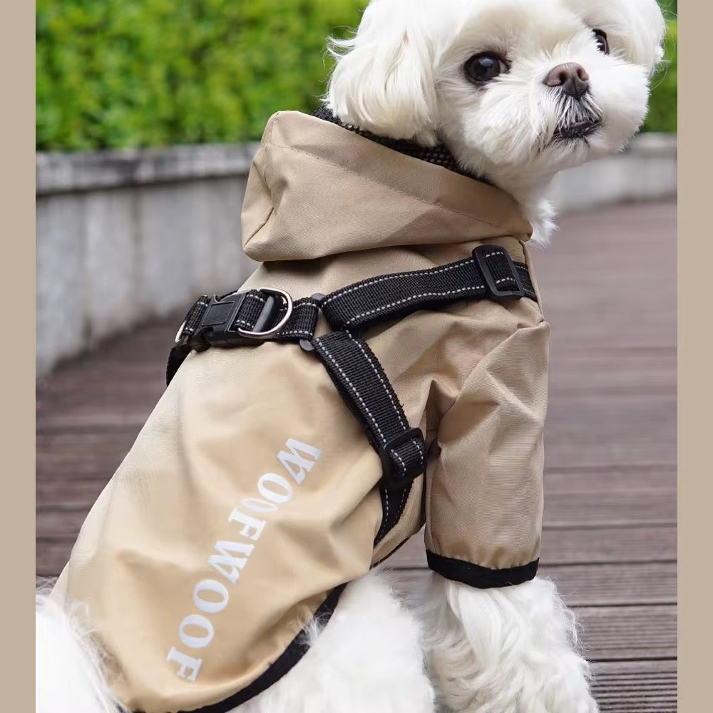 Little dog coat